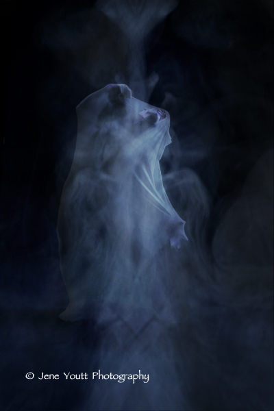 birth of the tree of life