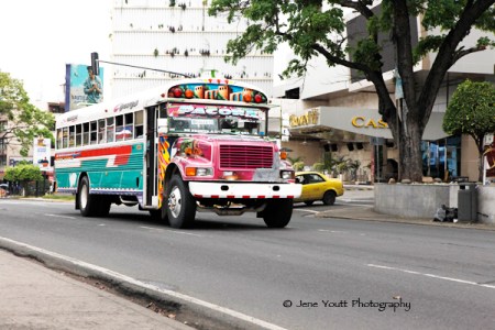panamaian diabloes rojos