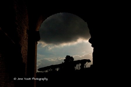 colosseum window with pine trees