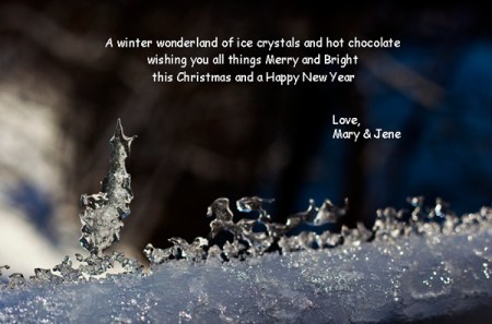 fuzzypictures Xmas card'13