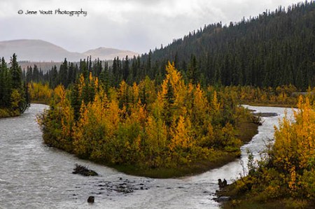 Denali National Park autumn river landscape