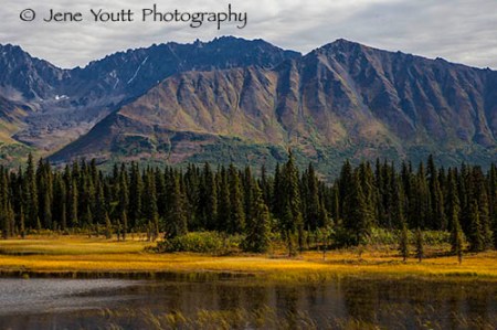 Denali National park autumn mountain landscape