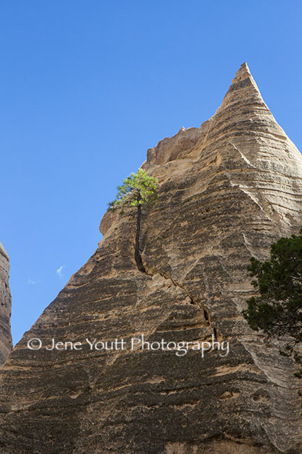 spires at Tent Rock national monument 