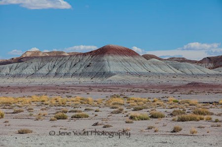 painted desert
