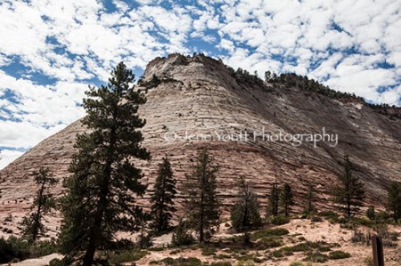 Checkerboard Mesa, Zion national park, Utah