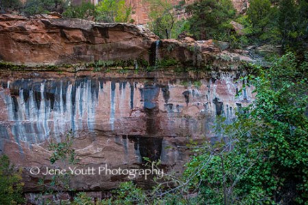 rock face waterfalls, zion nat'l park