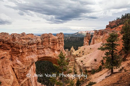 natural bridge, bryce national park, utah