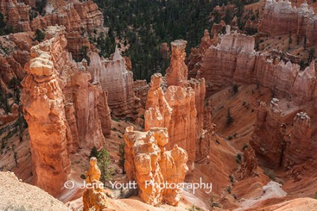 hoodoos, bryce national park