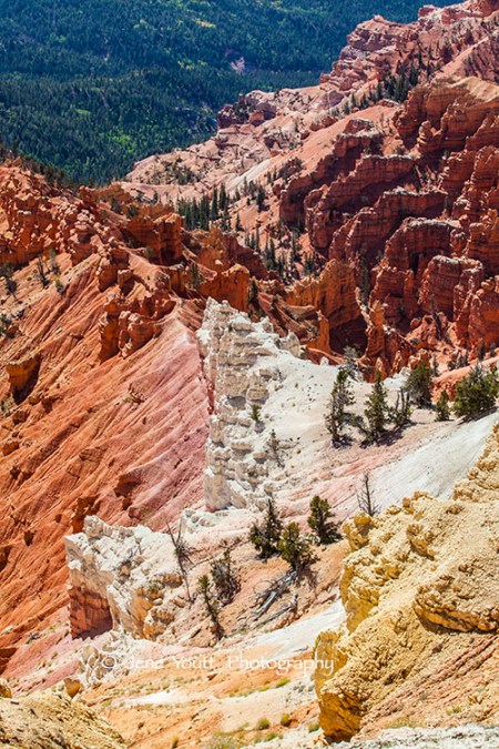 Ceders National Monument  