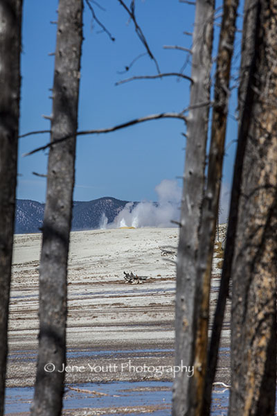 yellowstone geyser 