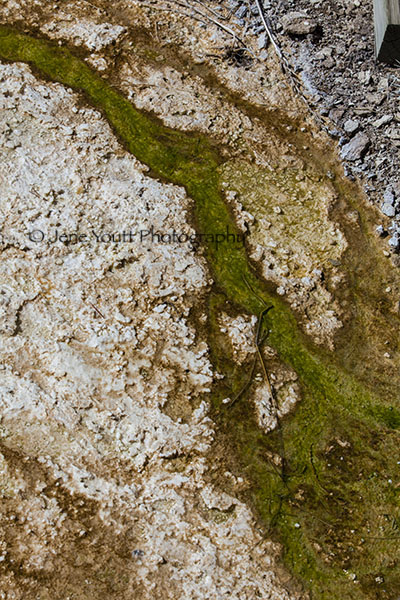 mineral stream in a geyser pool