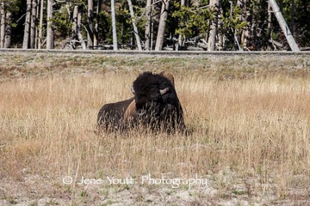 oblivious to people around him